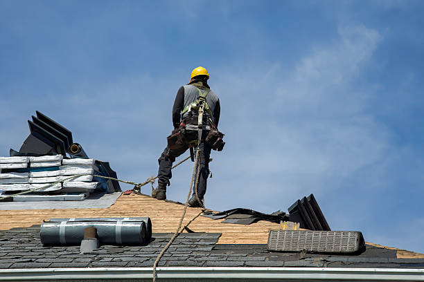Professional Roof Replacement technician working in Murdock, NE